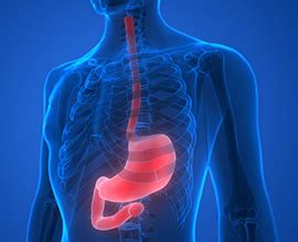 gastroscopy brentford|London Gastro.